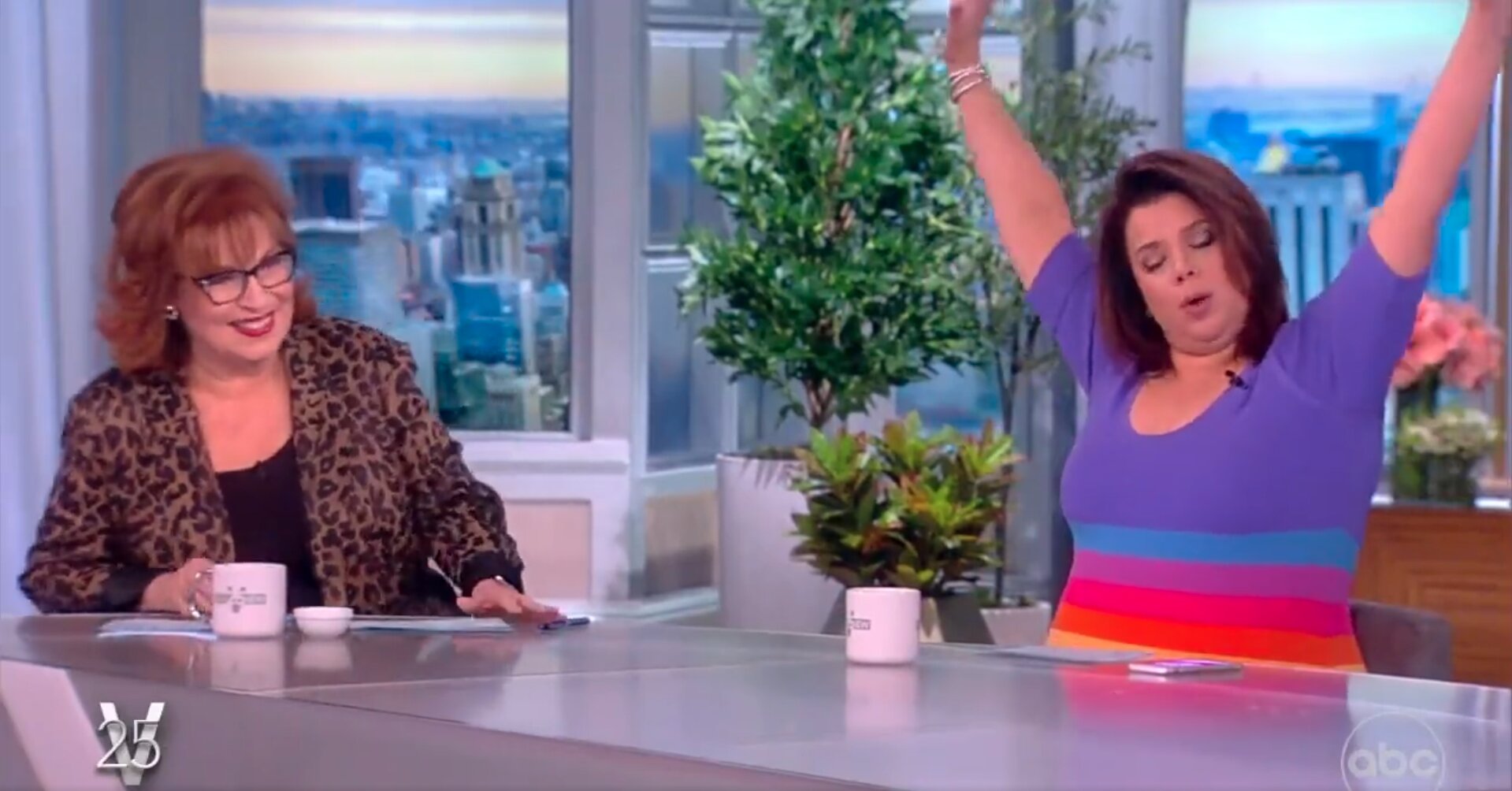 ‘The View’ Host Dresses as a ‘Big Fat Rainbow’ to Protest Controversial Education Bill: ‘Gay All Day!’