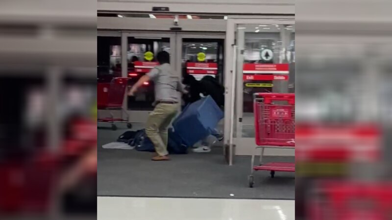 Watch: Target Shopper Rushes In to Try to Stop Shoplifter, Yanks Bin Away