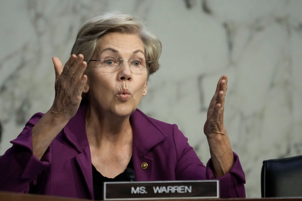 Elon Musk Takes 14-Word Direct Shot at Elizabeth Warren After She Issues Warning to Him, Tesla Board