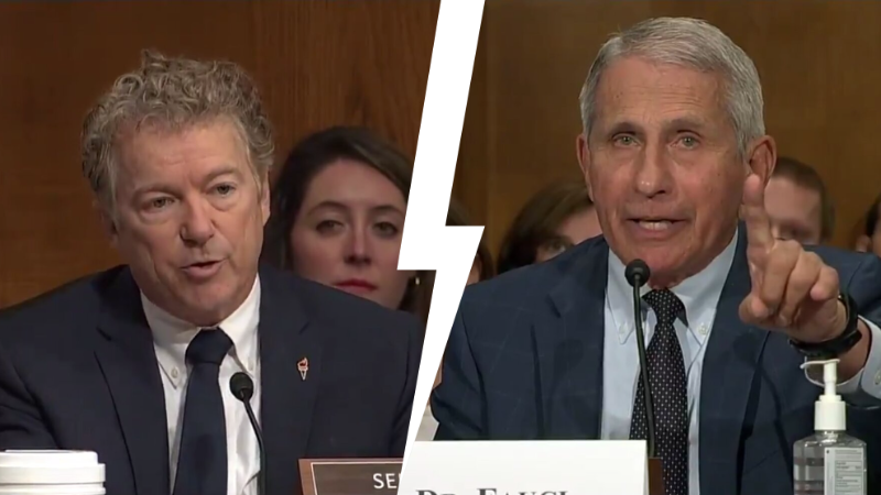 Watch: Rand Paul Accuses Fauci of Lying To Congress About Allegedly Funding Gain-of-Function Research