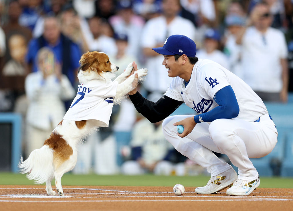 Baseball’s Gone to the Dogs as ‘Decoy’ Delivers First Pitch