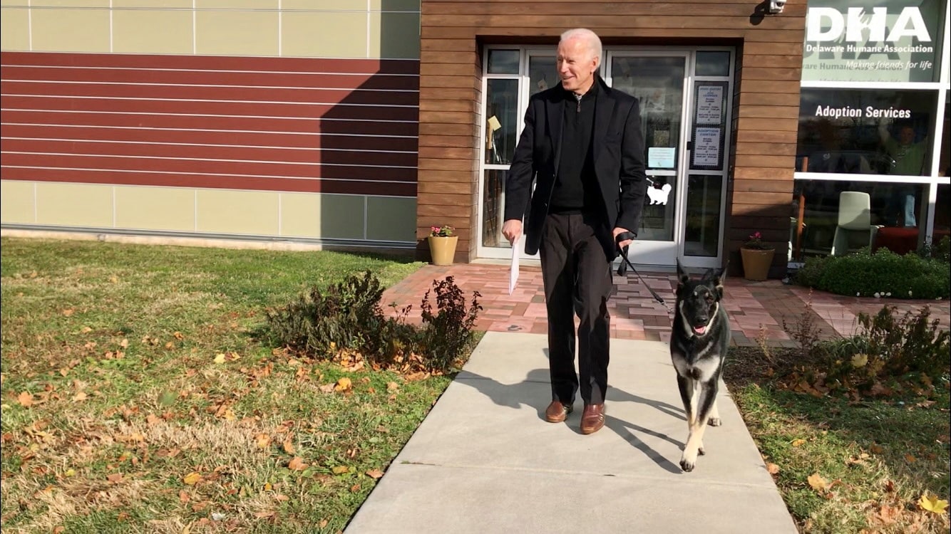 White House Going To the Dogs as Biden Pets Major and Champ Move in