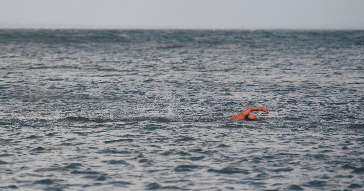 Fin-Tastic: Dolphins Miraculously Help Save Swimmer Stranded for Hours