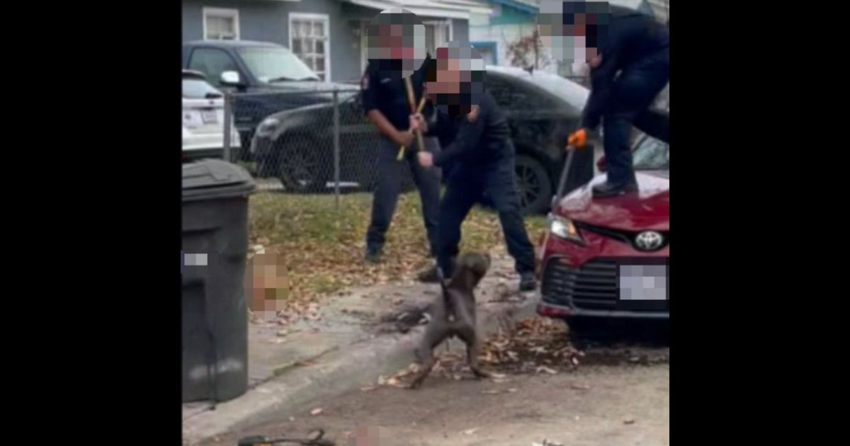 Firefighters Fight Their Way Past Vicious Dogs to Find ‘Horrific Scene’ – Owner Arrested After One Man Dies