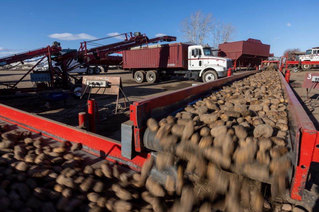 Potato Shortage Rocks US, Idaho Spud Farmers Know What They Need to Do