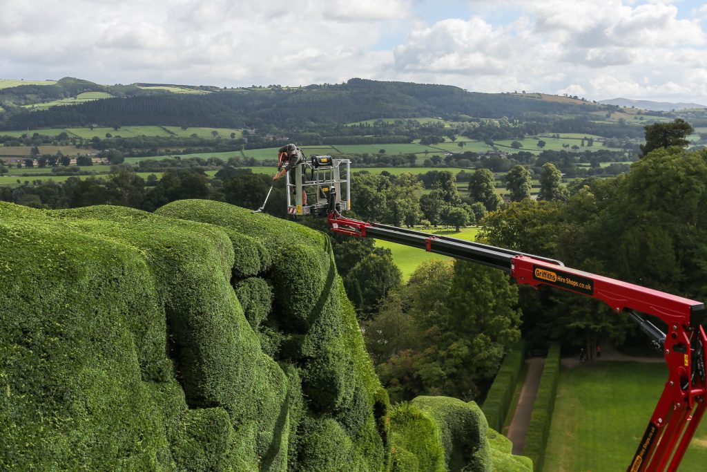 Gardener Braves Heights To Tame 300-Year-Old Hedges At Historic Castle‌
‌