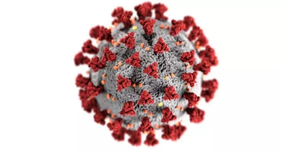 Flashback: You Were Right – CDC Admits Their COVID Numbers Are Off by Tens of Thousands