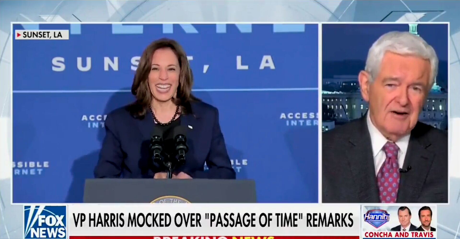 Newt Gingrich Whacks Harris: ‘May Be the Dumbest Person Ever Elected Vice President’