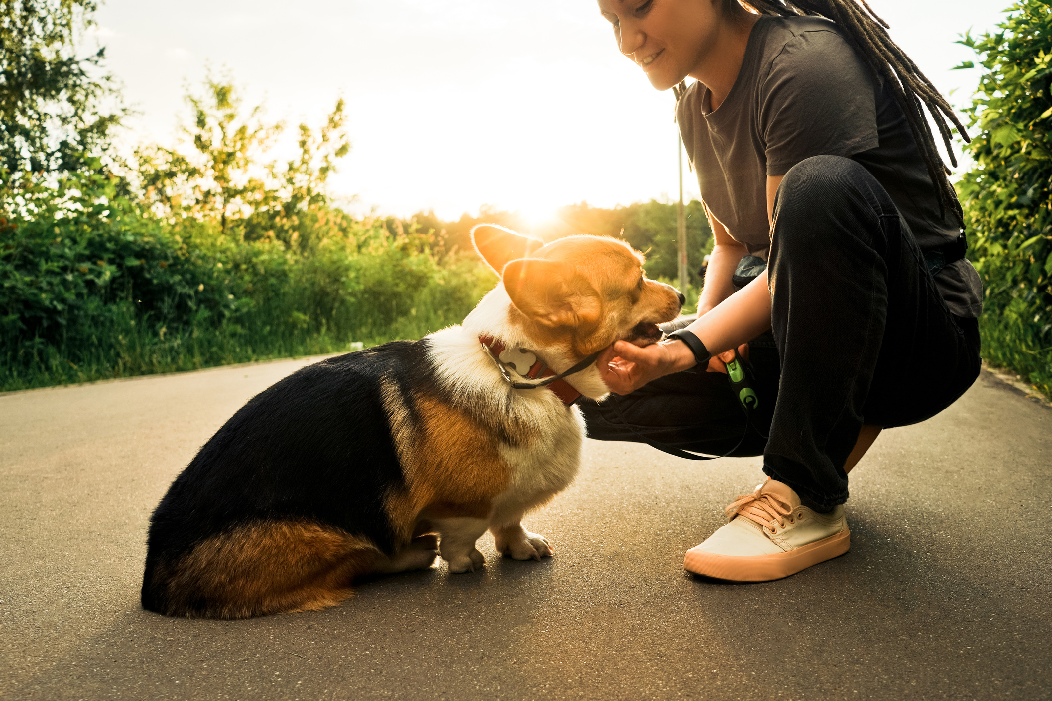 Woman Adopts 7 Dogs With Disabilities and Trains Them to Be Therapy Dogs