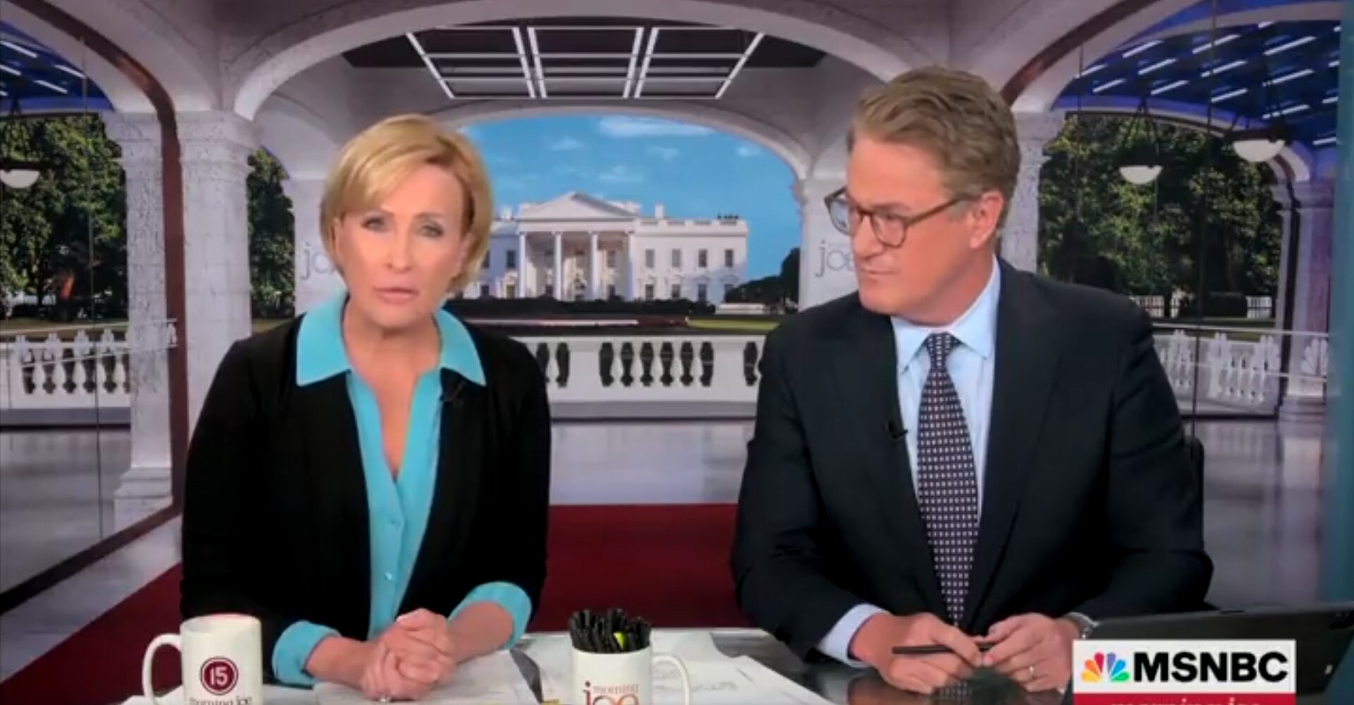 Mika Brzezinski Throws White House Staff Under the Bus for Videos of Biden Falling