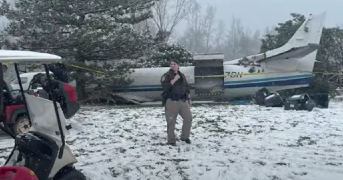 Plane Full of Rescue Dogs Makes Emergency Crash Landing, Loses Wings After Hitting Trees