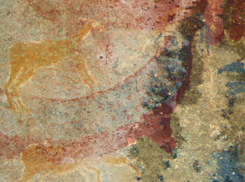 South African Rock Art Depicts Extinct Creature Inspired By Fossils‌
‌
