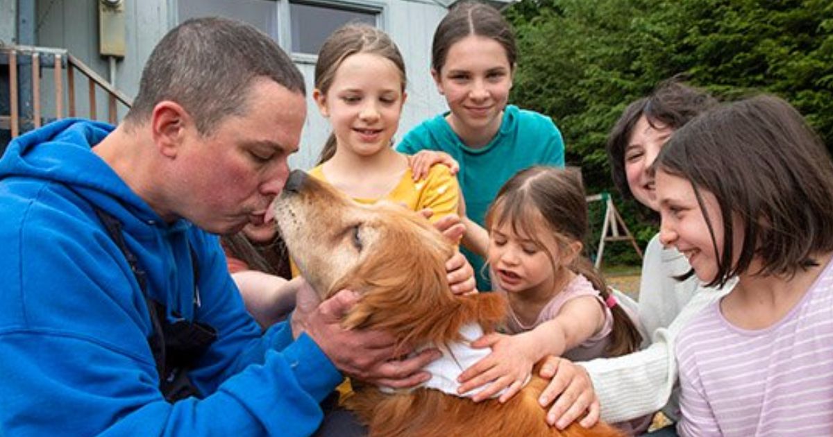 Blind Dog, 13, Lost for Three Weeks – Finally Found in Roadside Ditch, Reunited with Relieved Family