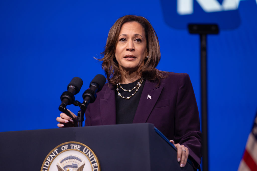 Harris Speaks Out About Flag Burning in DC by Anti-Israel Protesters