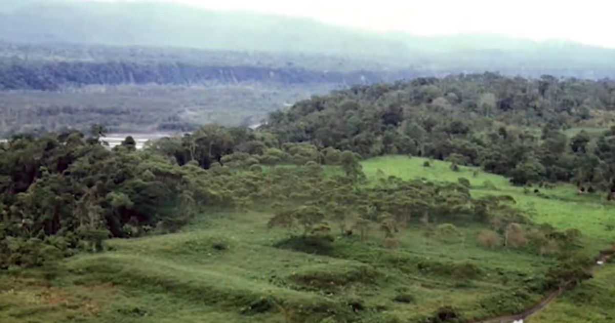Massive Lost City Found Covered in Vegetation, Site Is ‘Older Than Any Other’ and Could Rewrite American History