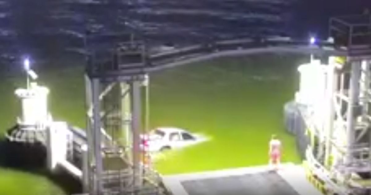 Hero Recognized by Coast Guard After Risking Life to Save Driver Who Drove Off Ferry Terminal