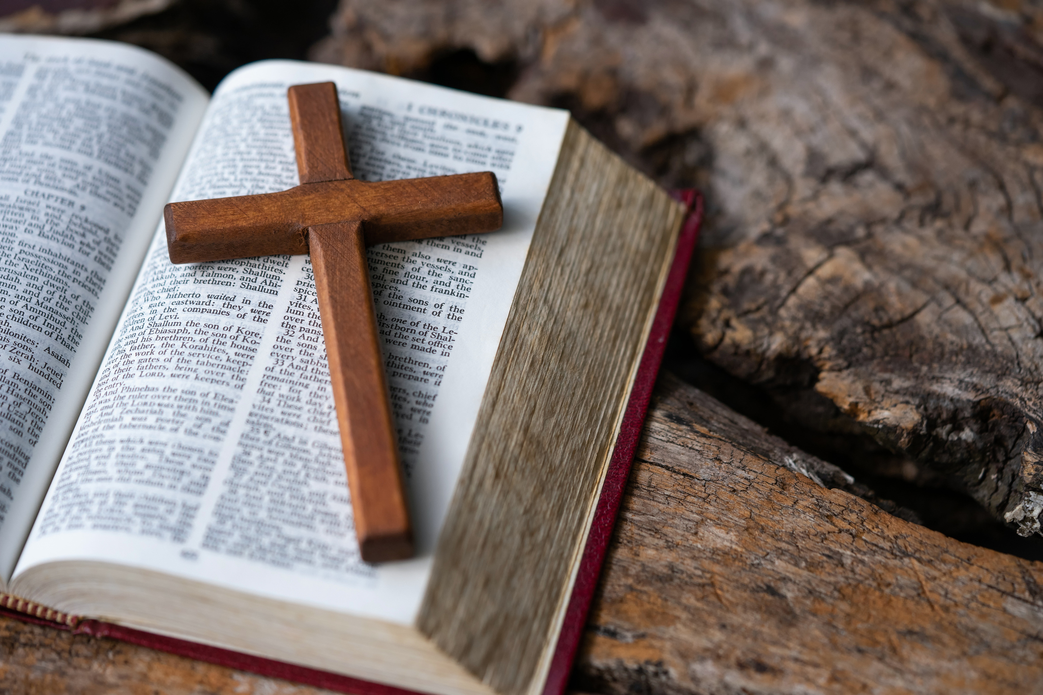 ‘Shadows of…Intolerance’: Watchdog Sounds Alarm for West, Reveals Biggest Lesson Persecuted Christians Can Teach Us All