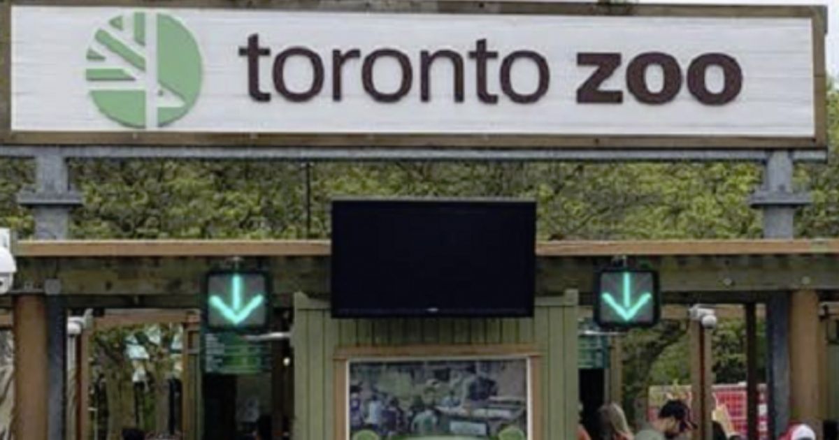 Zoo Claims Animals Are Getting COVID Vaccines of Their Own Free Will: 'These Are Voluntary Inoculations'
