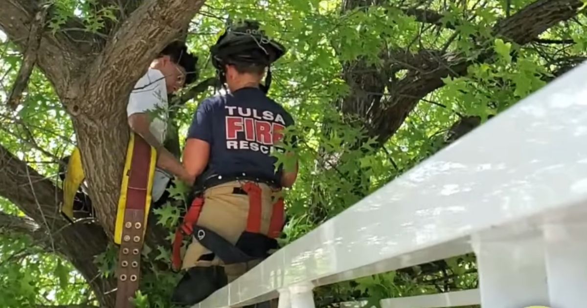 Tulsa Fire Department Comes to the Rescue After Both Cat and Owner Get Stuck in Tree
