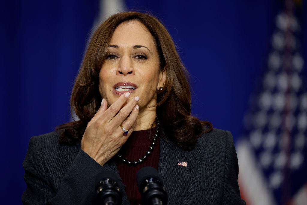 Harris Ripped to Shreds After Trying to Explain Russia-Ukraine Conflict in ‘Layman’s Terms’
