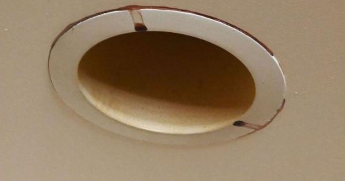 Woman Horrified After Learning the Reason Behind Blood Dripping Down Her Walls: ‘Real Life Horror Movie’