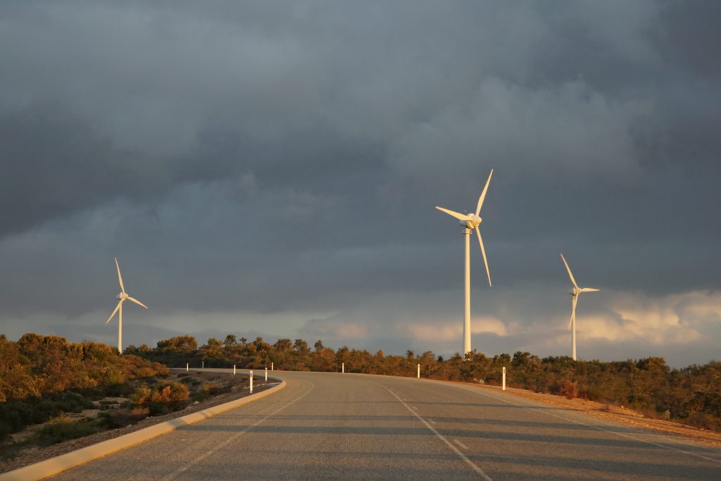 Climate Buzzwords Vanish From Corporate Earnings Calls As Trump Puts Green Energy Industry ‘On Its Heels’