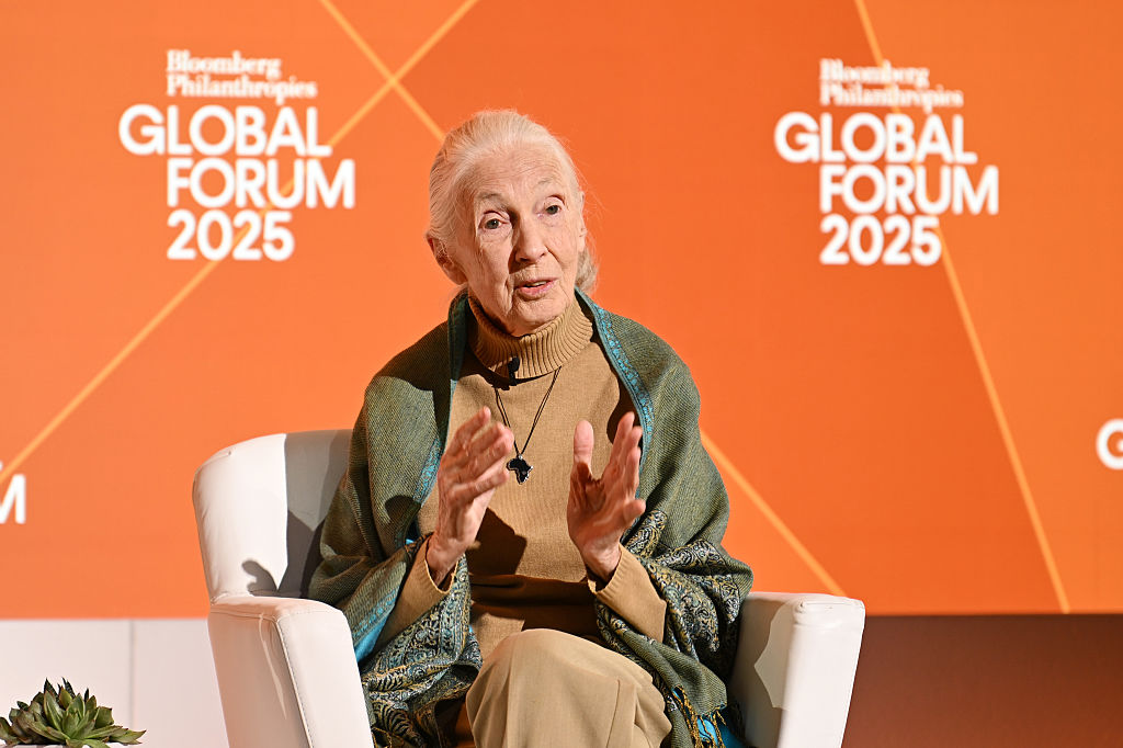 Conservationist Jane Goodall Dies at 91