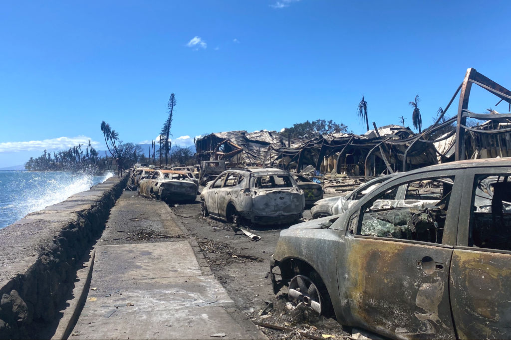 Maui Crisis Manager Whose Agency Opted Against Sounding Sirens Resigns