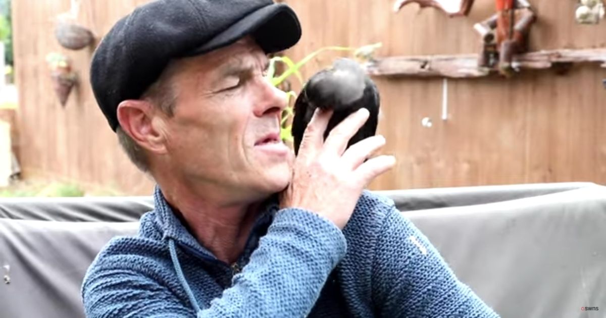 Man's Best Friend Now Has Wings: Wild Bird Befriends Man After Chance Encounter