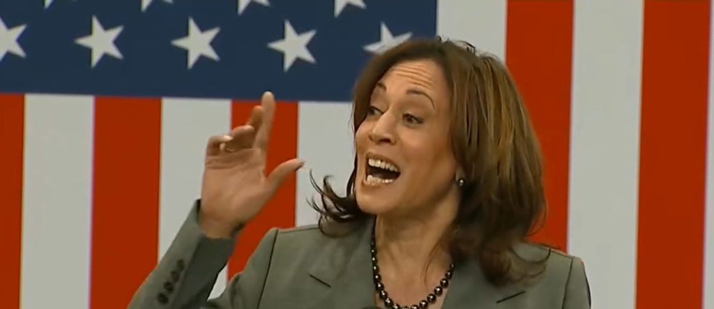 CARLA SANDS: Here’s What Four Years Of Kamala Harris Would Cost