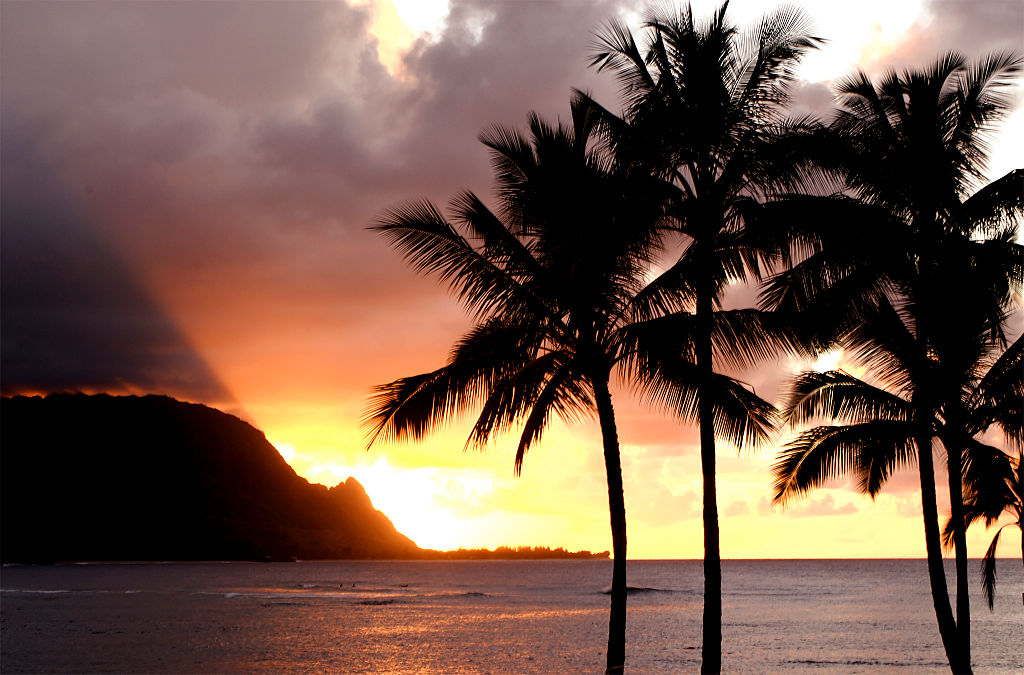Hawaiian Beach Shut Down After Surfer Bitten by Shark in Hanalei Bay