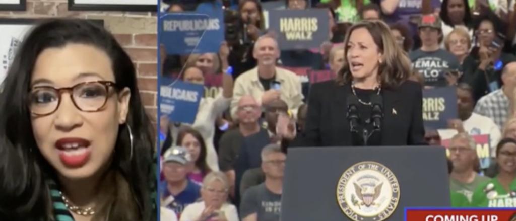 ‘Please Don’t’: Democratic Strategist Pleads With Kamala Harris To Never Run For President Again