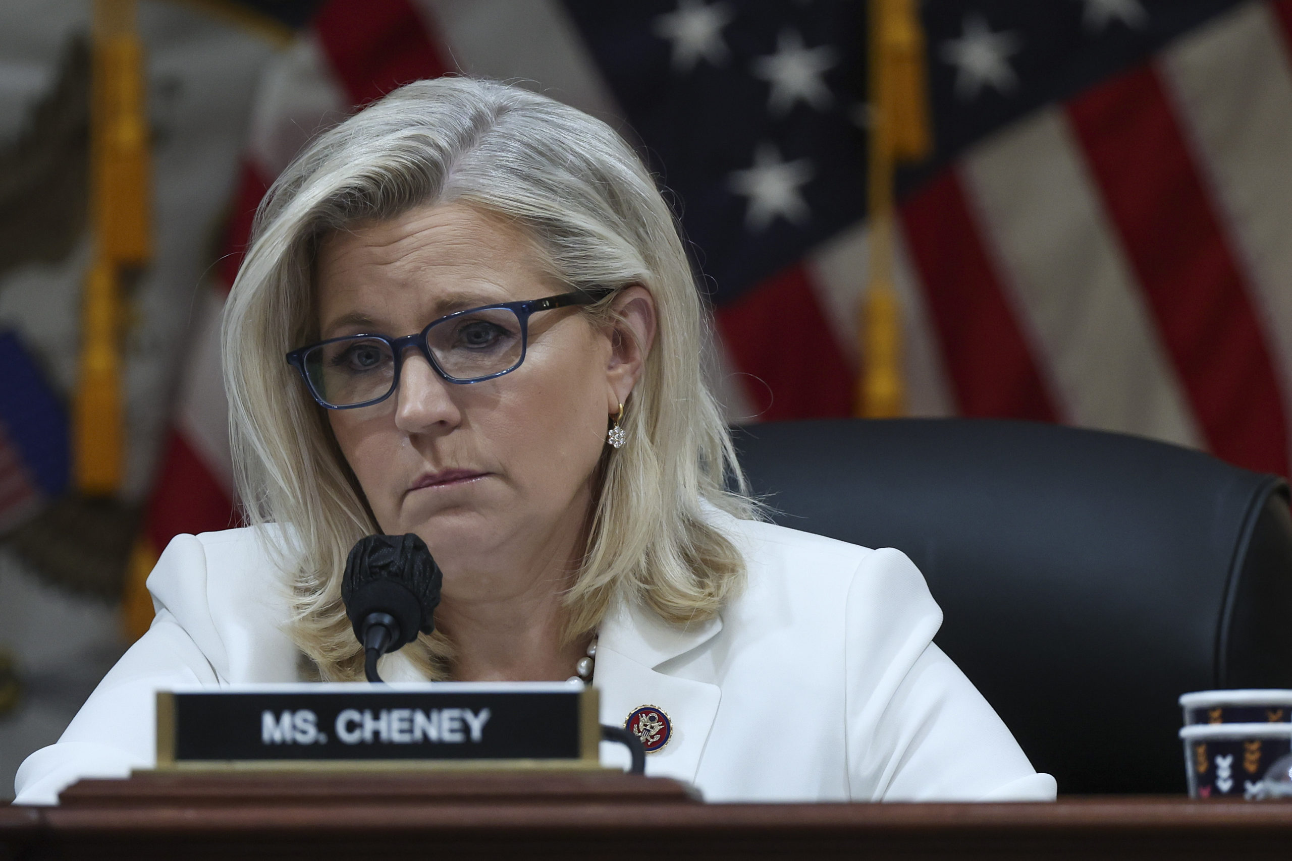 Cheney Wages War with GOP After Loss, Promises to 'Work Against' Top Party Republicans