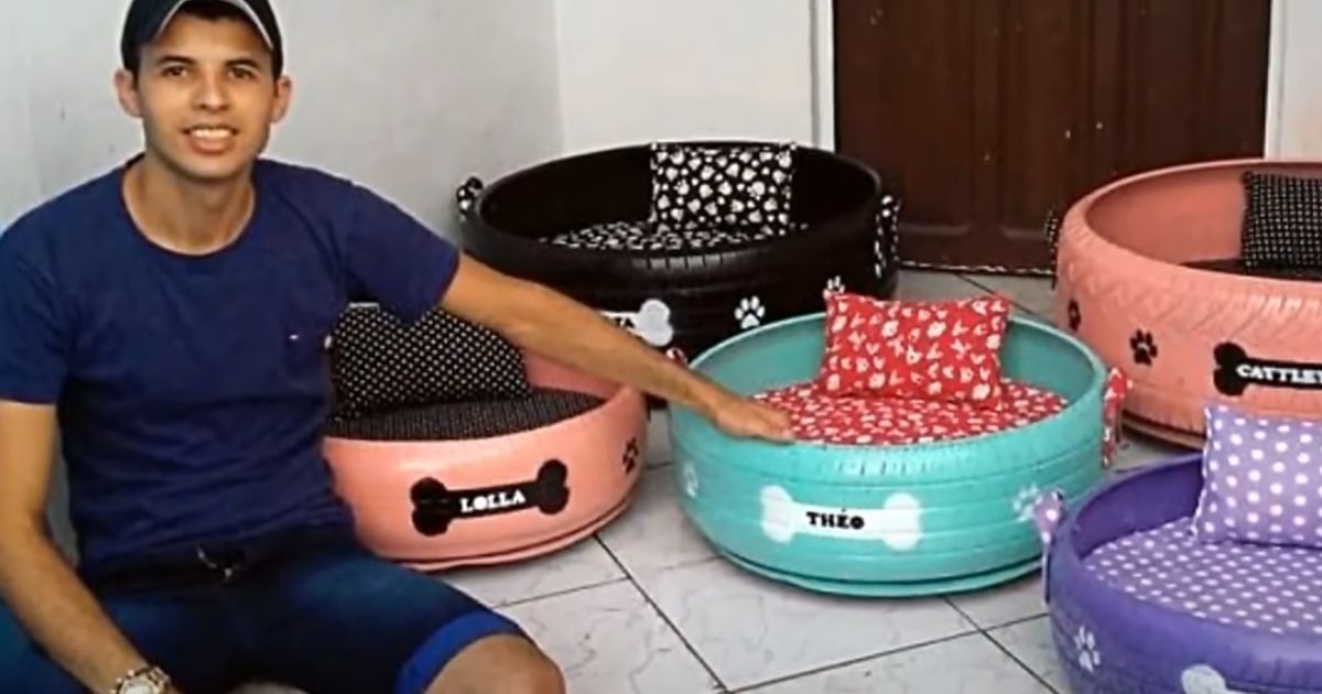 Man Transforms Old Tires Into Pet Beds, Makes Variety of Donations for Dogs Without Homes