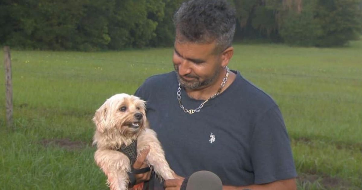 ‘She’s My Hero’: Dog’s Barks at 3 in the Morning Save Her Owner from Raging House Fire