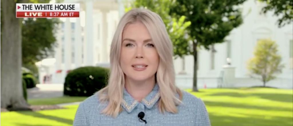 Karoline Leavitt Reveals How Many Illegal Immigrants Were Arrested In Just 1 Night Amid DC Crackdown