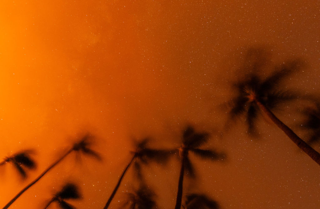 Woman Who Escaped Maui Wildfires on Foot Dies After Weeks of Hospitalization