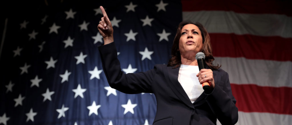‘Never Going To Get Them Back’: Dem Party’s Efforts To Win Back Male Voters Are Doomed, Its Own Strategists Say