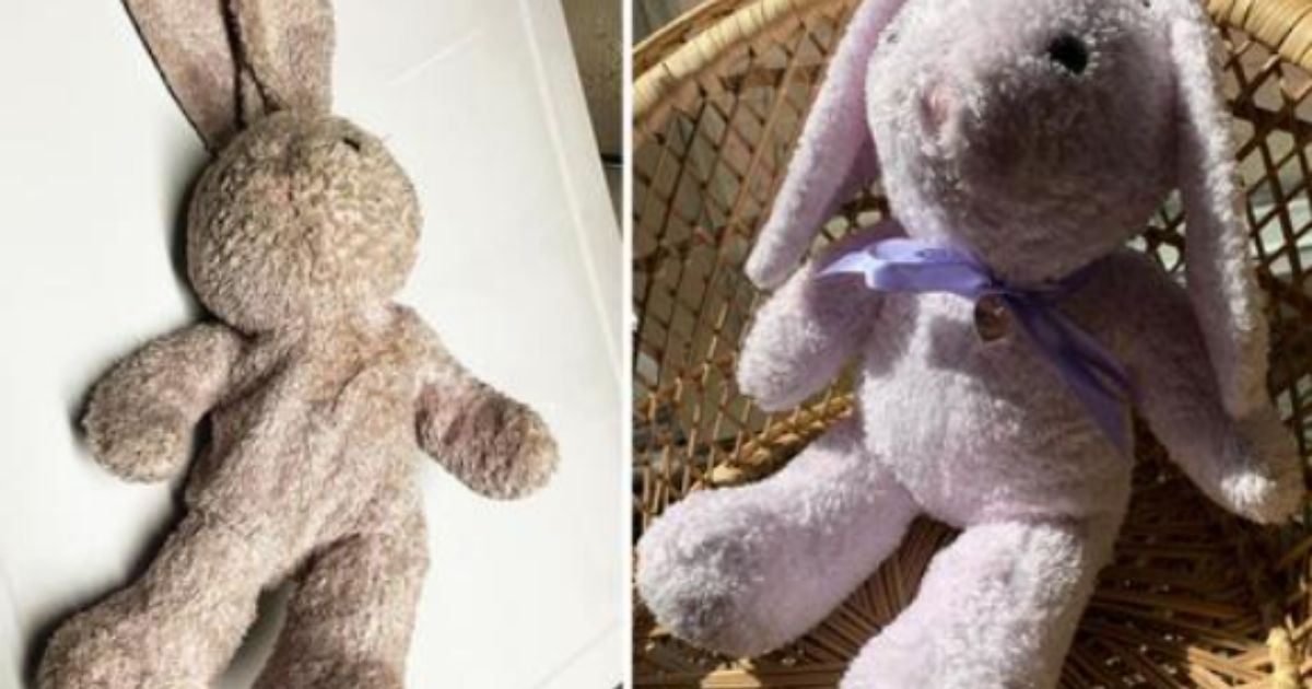 Woman on a Mission to Return Lost Stuffed Bunny: 'Someone Is Missing This Rabbit'