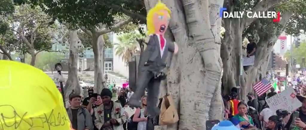 Dem Voters Snub ‘Irrelevant’ DNC In Favor Of Far-Left ‘No Kings’, Party Activist Says