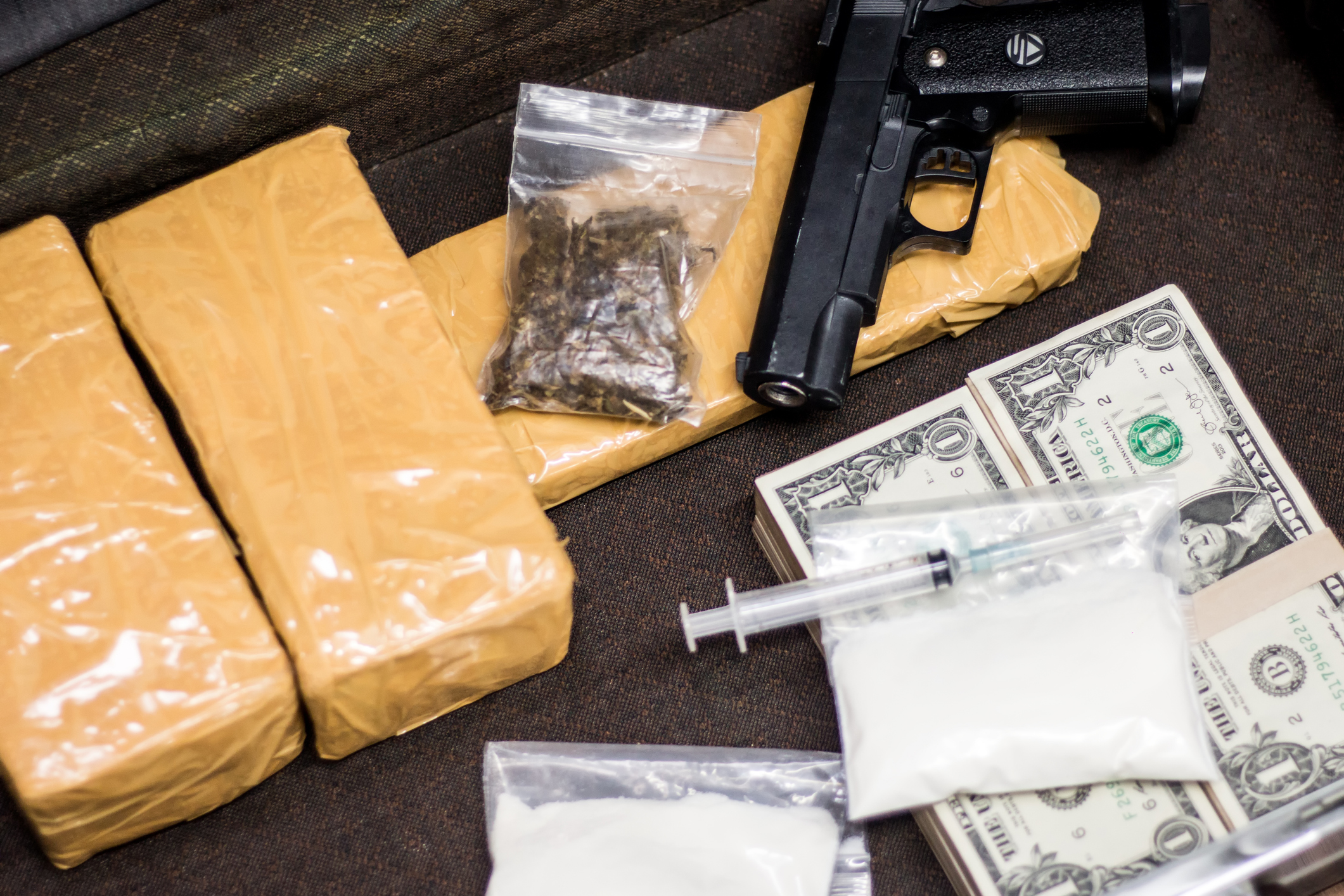 $1.6 Million, Guns, and Narcotics Found at Oregon Safari Park, Police Say