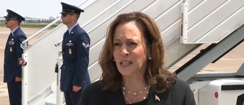 BETSY McCAUGHEY: Kamala Harris Might Find Out Male Voters Don’t Like Her Very Much