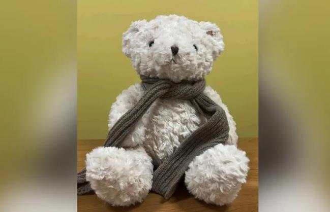 Watchdog Group Issues Report On Teddy Bear