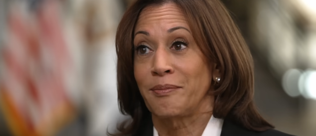 ‘Border Czar’ Kamala Harris Once Blamed ‘Lack Of Climate Adaptation’ For Massive Immigration Surge