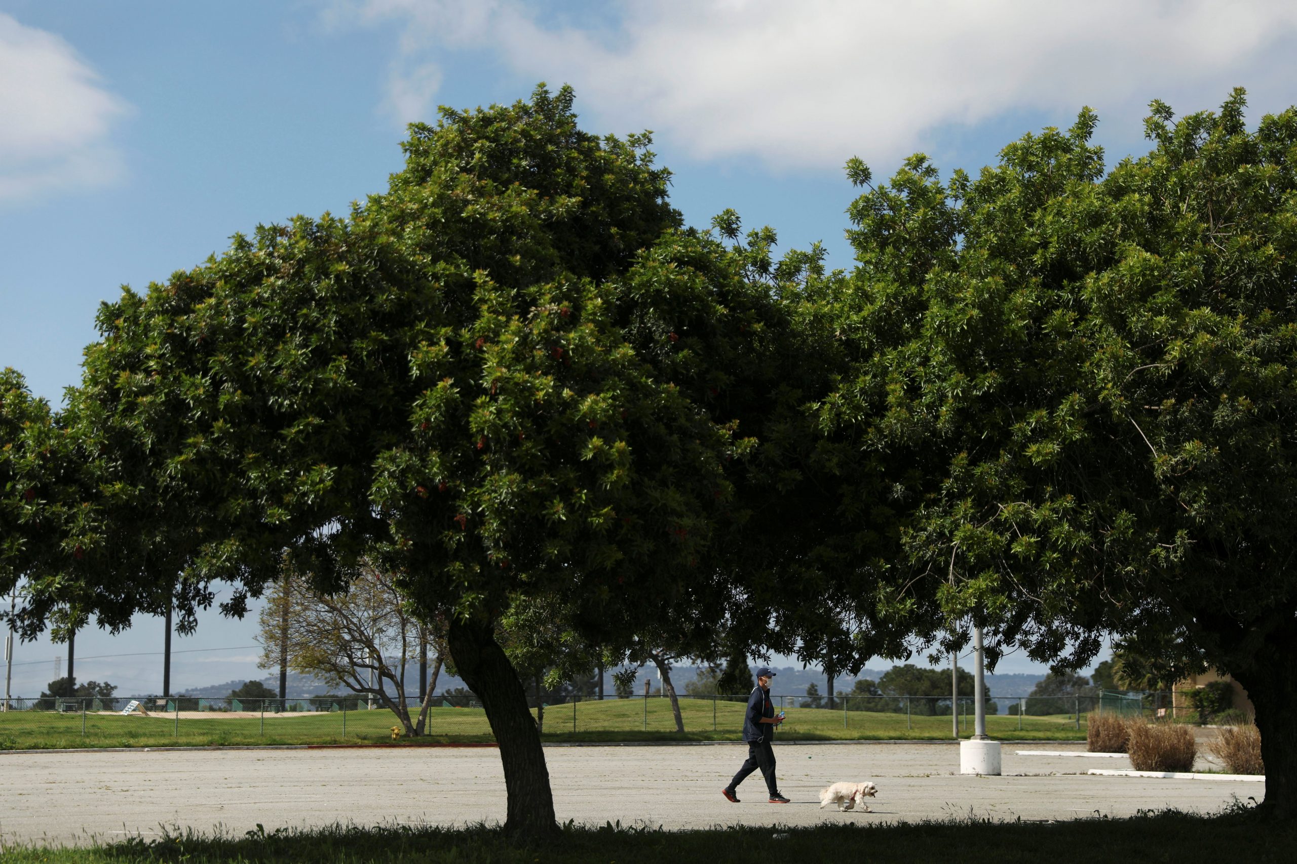 Coronavirus Circulated in U.S. Weeks Earlier Than Thought, Mistaken for Flu, Health Official Says