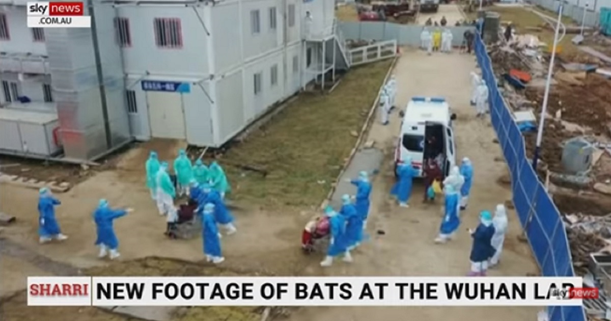 Reported Footage from 2017 Proves That Bats Were Kept in Wuhan Lab, Came Into Close Contact with Scientists