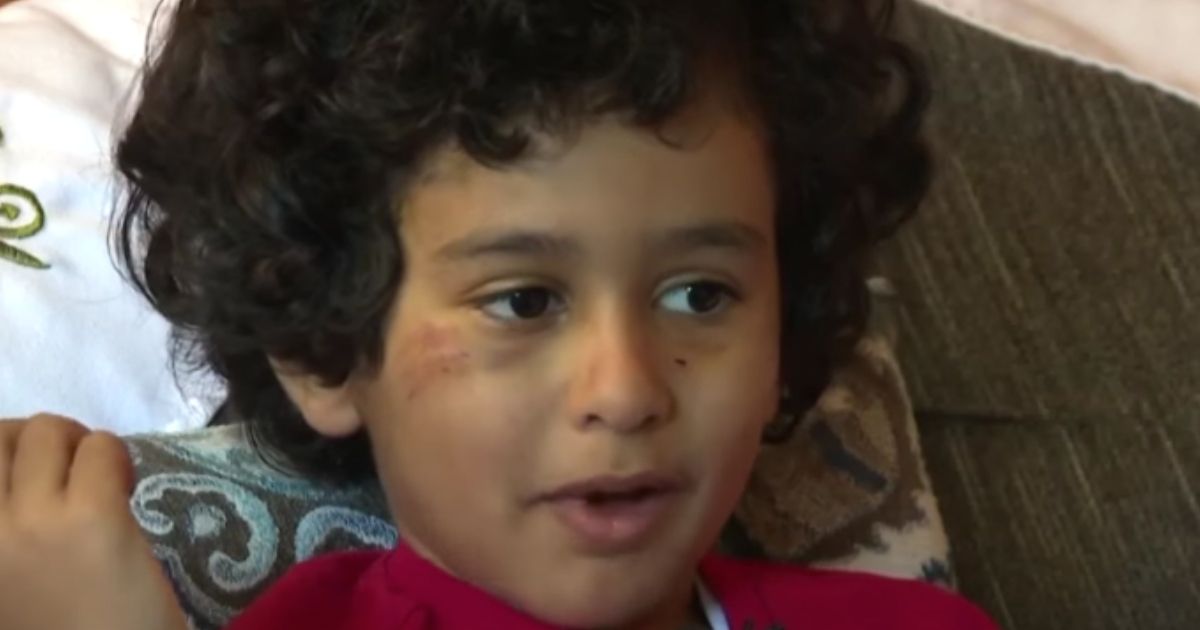 Dogs Attack Boy on Way to School Bus, Owner Refuses to Turn Them Over: 'Tell the Family I'm Sorry'