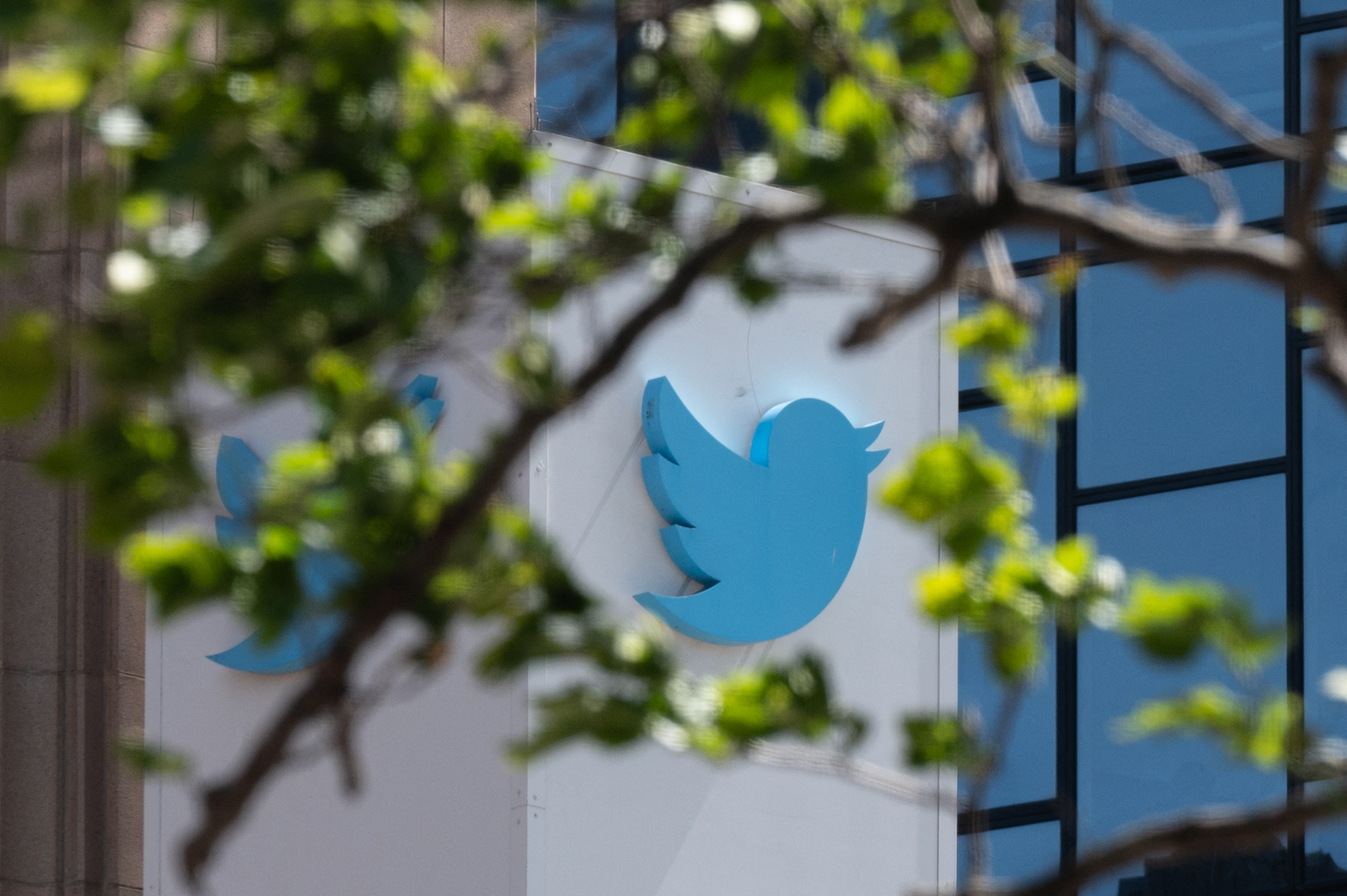 Babylon Bee Skit Mocks Twitter Employees Over Reaction to Musk Takeover — Musk Reacts