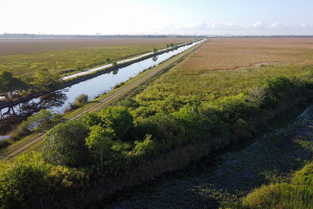 ‘Alligator Alcatraz’ Not Alone: DeSantis Proposes Additional Immigration Detention Center