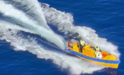 Brutal: Passenger Launches Off of World’s Largest Cruise Ship, Sealing His Fate